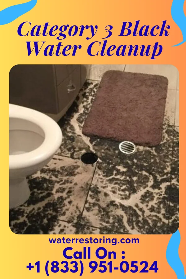 Category 3 Black Water Cleanup in Boyden, IA
